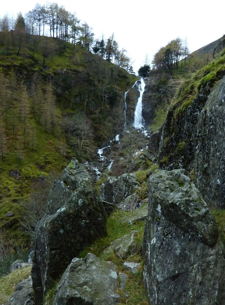 Taylorgill Force